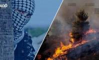 "حزيران" شهر الحرائق في التاريخ الفلسطيني .. كيف استخدمت المقاومة النار خلال معاركها مع الاحتلال؟ 