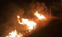 الضفة: القسام في طولكرم تعلن عن عملية والمستوطنون يضرمون النار في "خلة الضبع" 