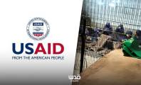 ماذا كانت تفعل الـ USAID في معسكر "سديه تيمان" وقت تعذيب الفلسطينيين؟ 