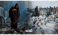 لا أضاحي تُذبح والفلسطينيون يسعون نازحين بحثا عن الأمان