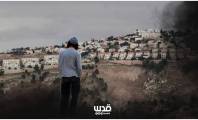 1691 اعتداء في أيار: هجمات استيطانية منظمة على الفلسطينيين في الضفة