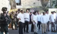 مستوطنون يقطعون أشجارًا ويعتدون على الفلسطينيين واقتحامات واسعة لجيش الاحتلال