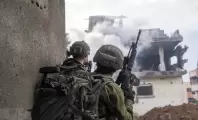 3-1737449411