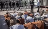 أكثر من 19 ألف حالة اعتقال و77 شهيدًا في سجون الاحتلال منذ بدء حرب الإبادة