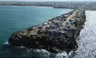 y6tf-1761483472