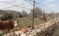 010-1758696971