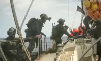 v3223v-1779095114