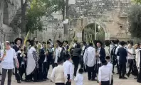 4-1696592231