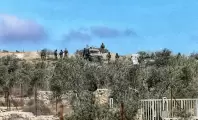 005-1762518107