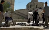 بلبل-1723537650
