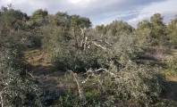 IMG-20211230-WA0029