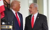 תמונה-48 (1)