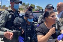 101561048_3419657268111150_5553742375605501952_o