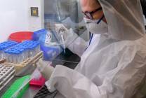 117753393_3426084094094431_4120465462334790654_o