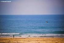 FB_IMG_1599713588800