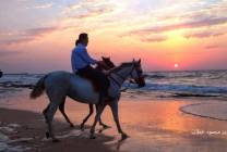 120048747_1211712682518644_3098036174010252647_n