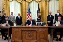 cat61663_img686686764