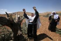 صورة تعبيرية