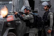 9201830212941667 (1)