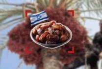 auto-height-large_2020-11-25-0dabcbe51a