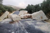 123543621_353408562424837_9124519564951490891_n