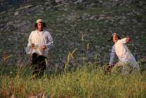 03092369146180353001737605168164