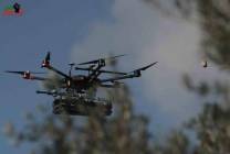 131930532_4001129993297205_1082409936438587115_n