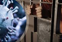 bf90e2a9-6f23-43d6-9f14-d2c880ec4a53