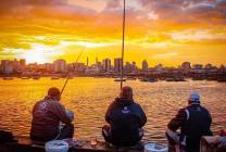 تصوير: أحمد كميل