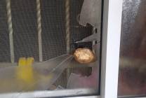 WhatsApp Image 2021-01-04 at 9.30.21 AM (2)