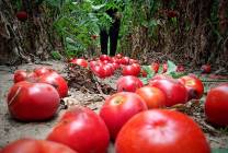 204842685_4327465987286284_7010403485707814357_n