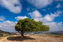 196580757_2995533607394164_5080410186351042965_n