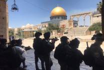 201476175_4527581073985425_5303380912719378732_n