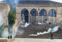 Photo-from-Aseel-Jundi