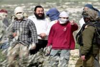 08141666537028214751382103253177