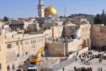 d0067e82-d99c-4b68-8787-1e14ff3cb249