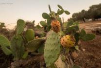 240121439_10222764687519875_5350790801900306033_n