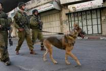صحيفة عبرية: قوة من جيش الاحتلال أجبرت فلسطينيات على التعري 