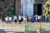فيديو | مئات المستوطنين يقتحمون المسجد الأقصى قبيل "عيد الغفران"