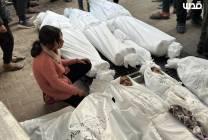 الاحتلال يبرر الإبادة في محكمة لاهاي وجيشه يرتكب 13 مجزرة في غزة