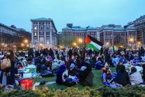 شهر على الحراك الطلابي.. هل استجابت الجامعات الأميركية لسحب الاستثمارات من الاحتلال؟
