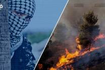"حزيران" شهر الحرائق في التاريخ الفلسطيني .. كيف استخدمت المقاومة النار خلال معاركها مع الاحتلال؟ 