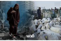 لا أضاحي تُذبح والفلسطينيون يسعون نازحين بحثا عن الأمان