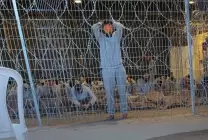 جندي في جيش الاحتلال: عشرات المعتقلين الفلسطينيين في سدي تيمان خرجوا في أكياس الجثث