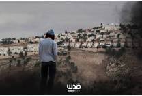 1691 اعتداء في أيار: هجمات استيطانية منظمة على الفلسطينيين في الضفة