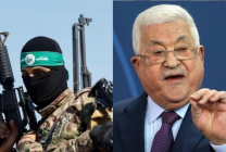 معرض صورتان (9)