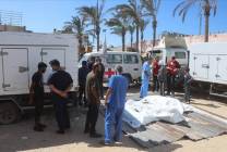 photo_٢٠٢٥-١١-١٤_١١-٠١-٤٣