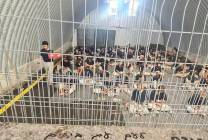 سجن-النقب-1719991524