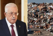 معرض صورتان (11)