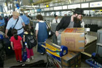 6202323125040281004960